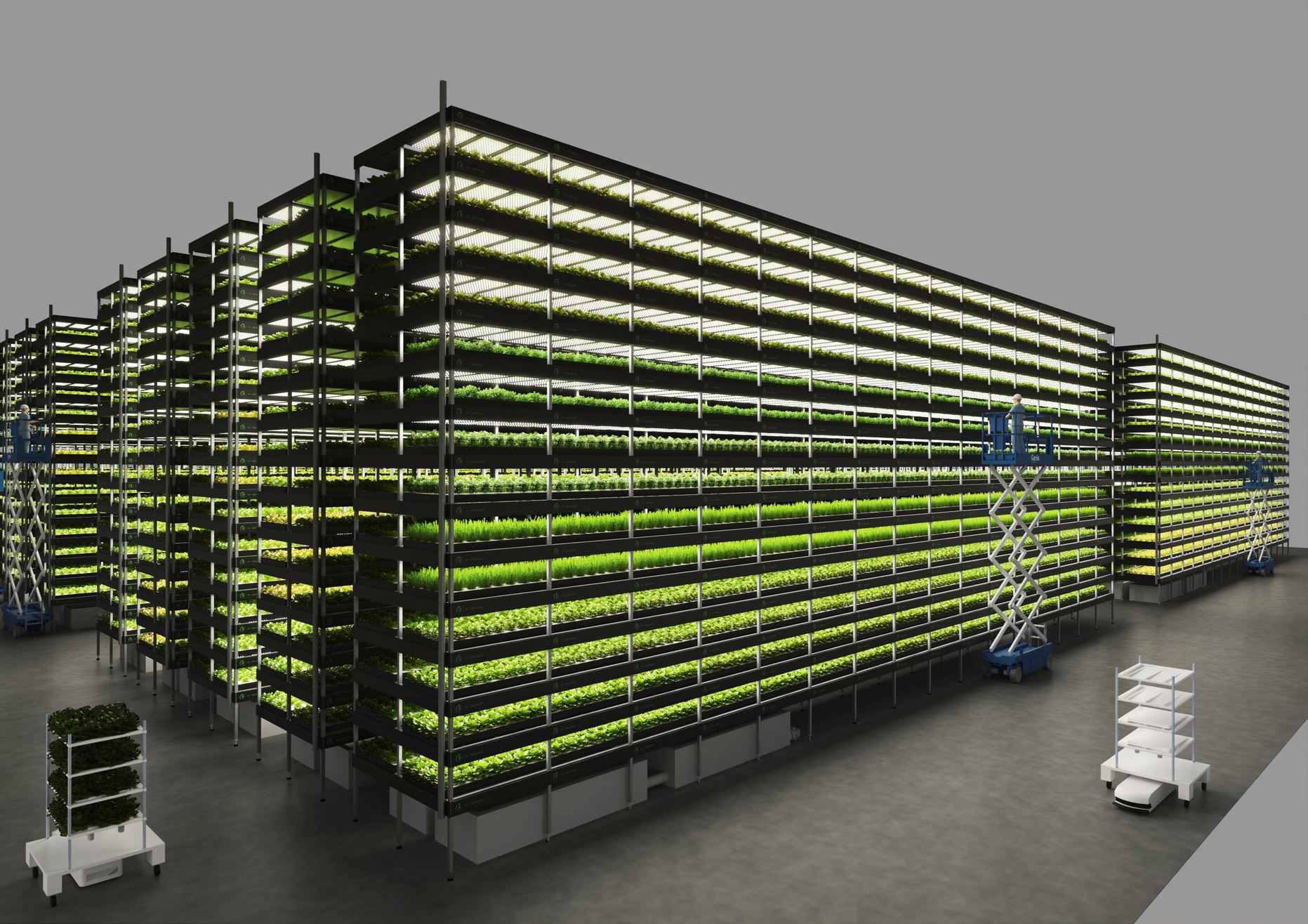 one-of-europe-s-biggest-vertical-farms-to-be-established-in-denmark