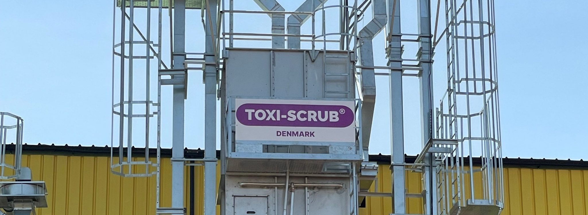The subtle art of eradicating mycotoxins in contaminated crop